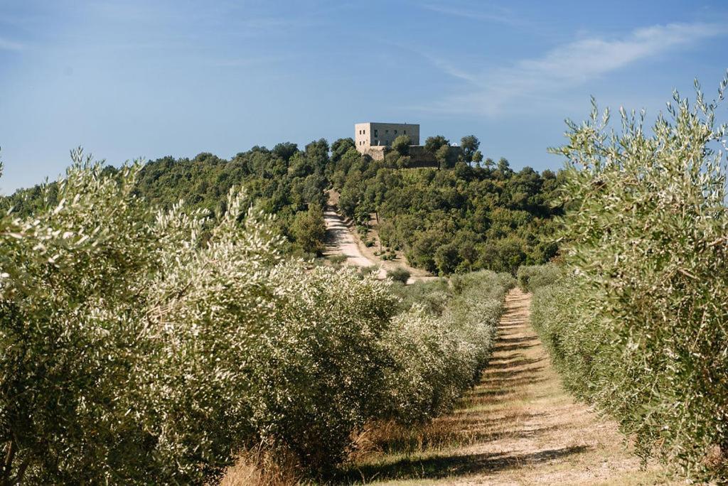 Tenuta Di Forte Sorgnano Gualdo Cattaneo Zewnętrze zdjęcie