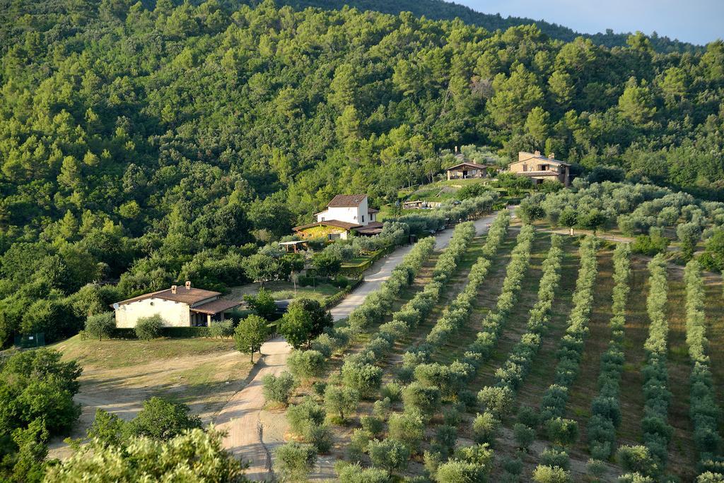 Tenuta Di Forte Sorgnano Gualdo Cattaneo Zewnętrze zdjęcie